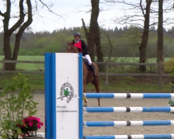 Reitturnier Elmlohe 2025