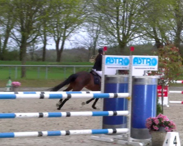 Reitturnier Elmlohe 2025