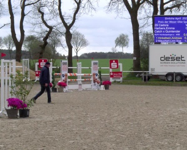 Reitturnier Elmlohe 2025