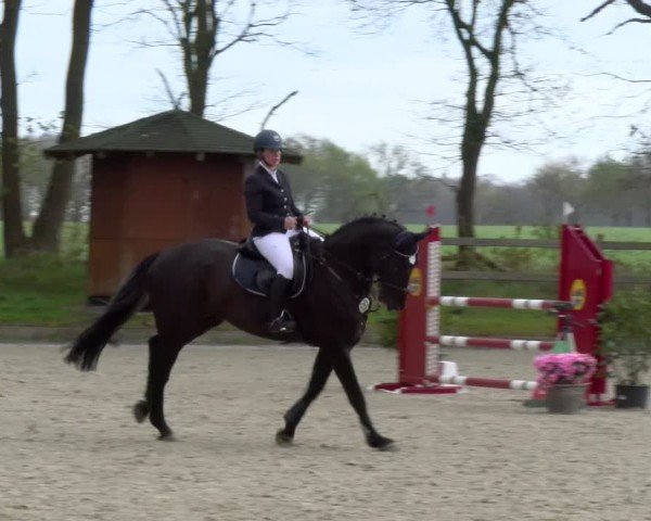 Reitturnier Elmlohe 2025