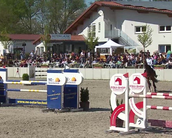 Reitturnier Grafenrheinfeld/Ufr. 2025