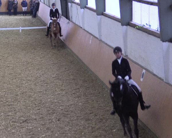 Reitturnier Datteln 2021