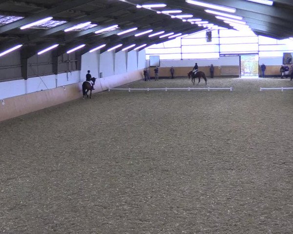 Reitturnier Datteln 2021