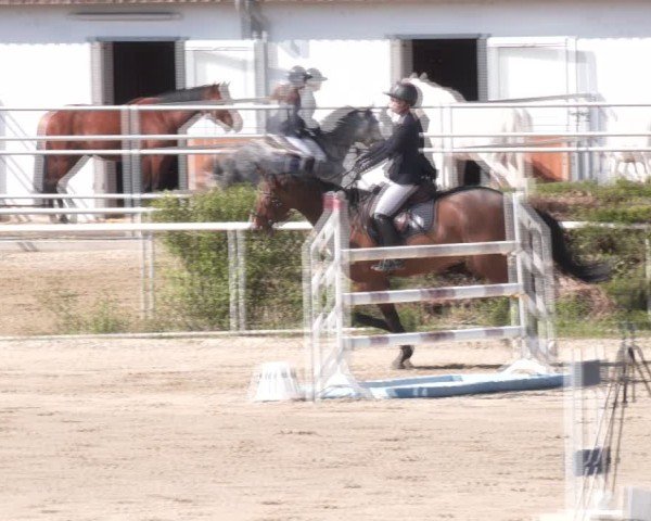Reitturnier Margarethen am Moos 2025