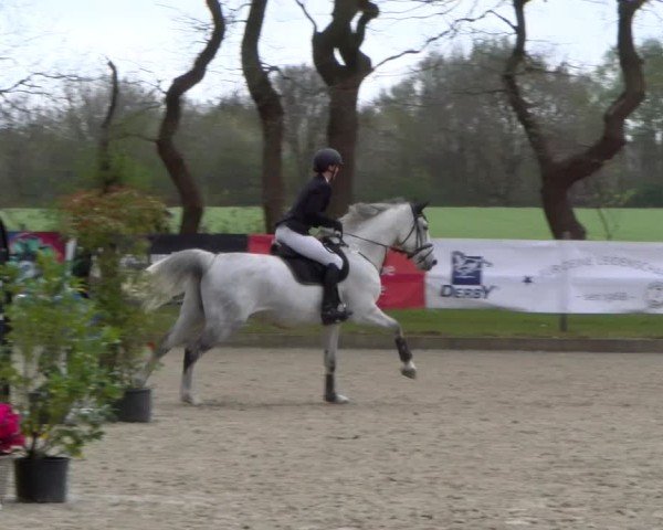 Reitturnier Elmlohe 2025
