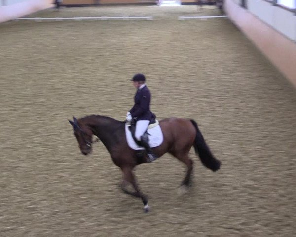 Reitturnier Datteln 2021