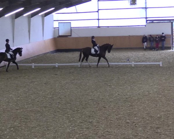 Reitturnier Datteln 2021