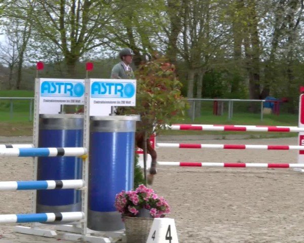 Reitturnier Elmlohe 2025