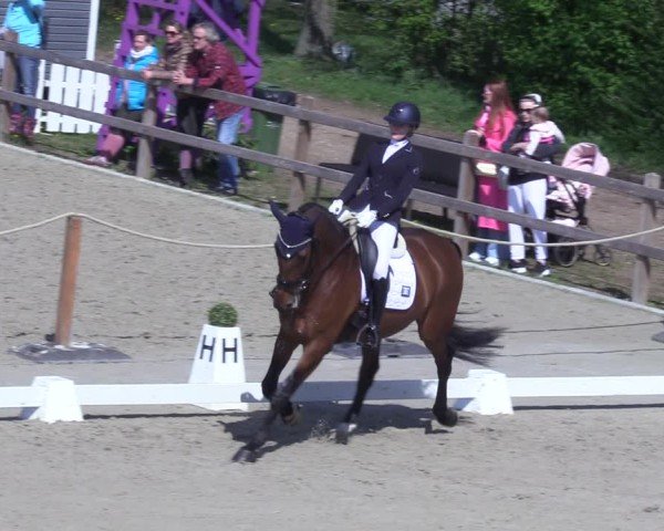 Reitturnier Scharnebeck 2025