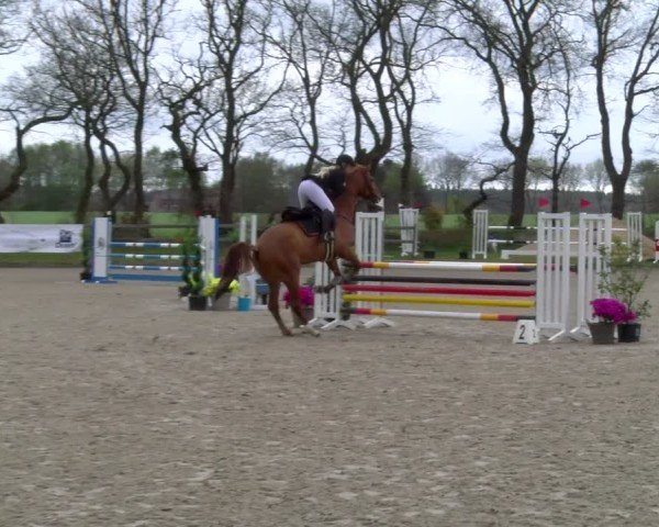 Reitturnier Elmlohe 2025