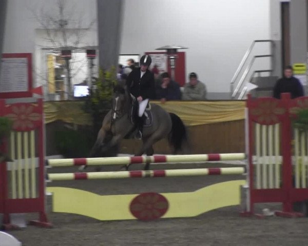 10. Emsländischer Jumping Day
