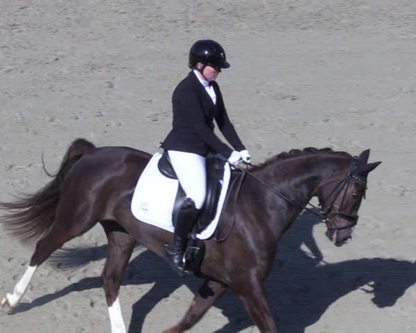 Reitturnier Scharnebeck 2025