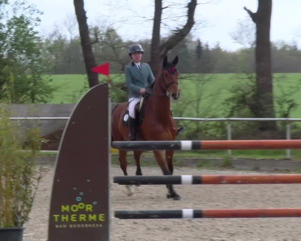 Reitturnier Elmlohe 2025