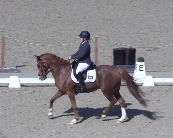 Reitturnier Scharnebeck 2025