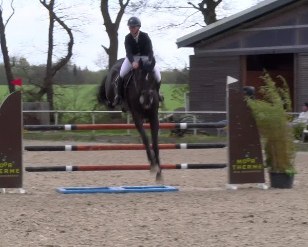 Reitturnier Elmlohe 2025