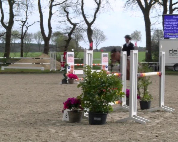 Reitturnier Elmlohe 2025