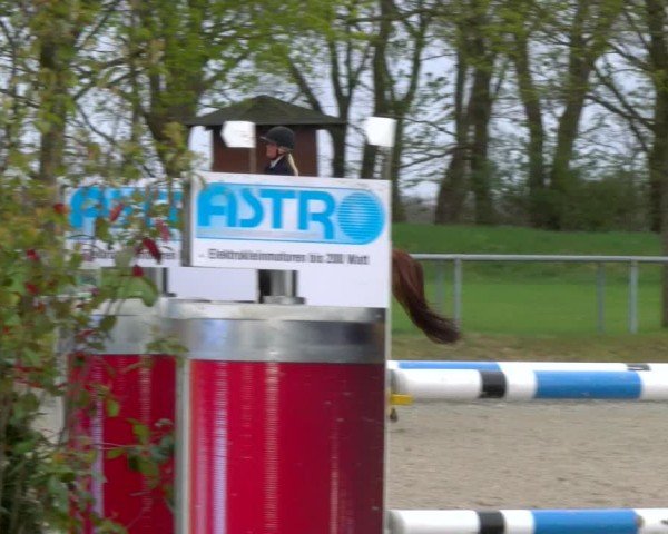 Reitturnier Elmlohe 2025