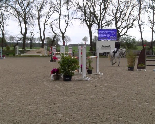Reitturnier Elmlohe 2025