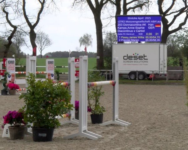 Reitturnier Elmlohe 2025