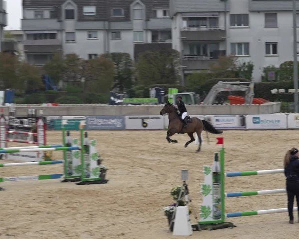 Reitturnier Amriswil 2025