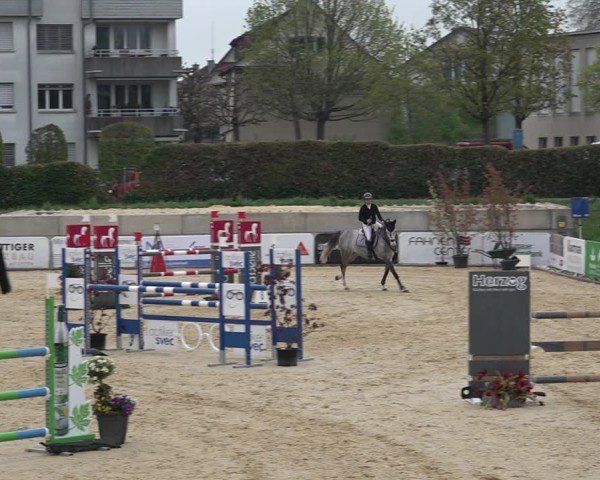 Reitturnier Amriswil 2025
