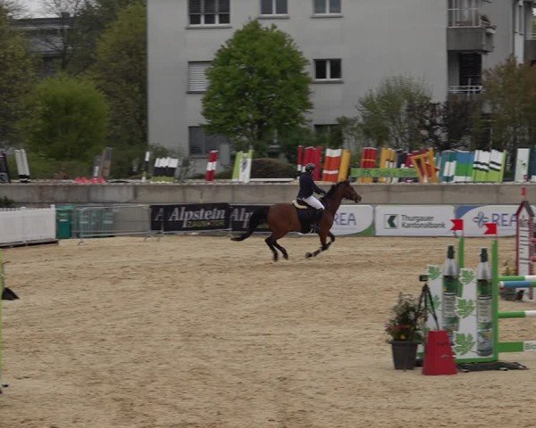 Reitturnier Amriswil 2025