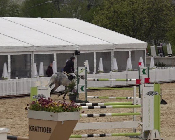 Reitturnier Amriswil 2025