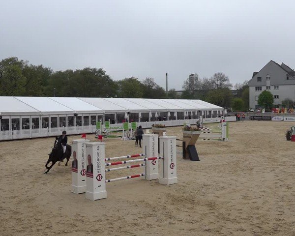 Reitturnier Amriswil 2025