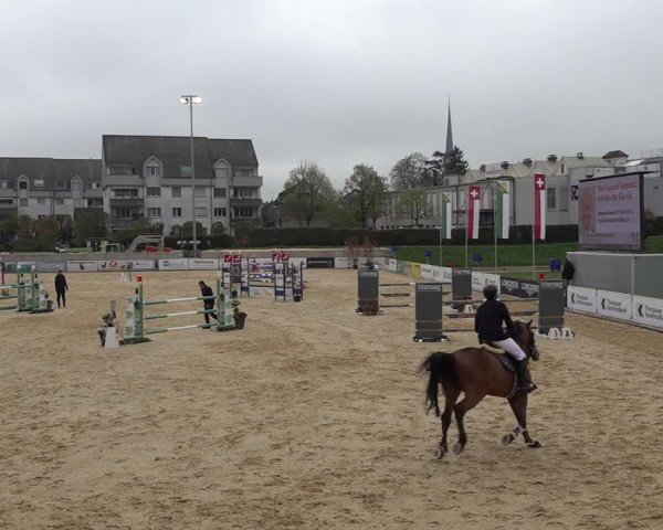 Reitturnier Amriswil 2025