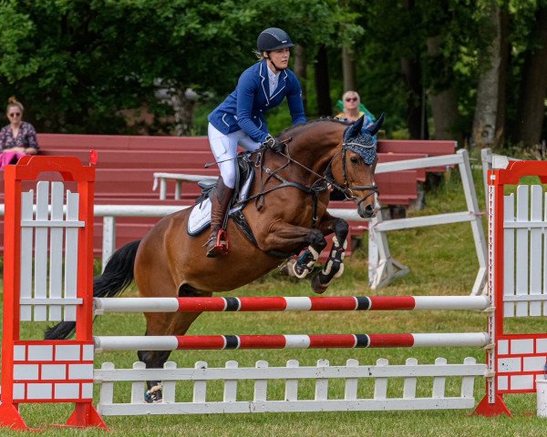 jumper Miss Elli 27 (Oldenburg, 2004, from Mon Dieu)