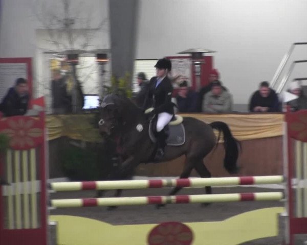 10. Emsländischer Jumping Day