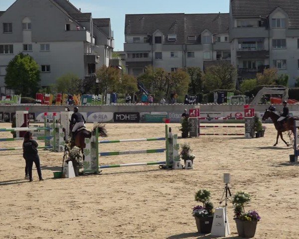 Reitturnier Amriswil 2025