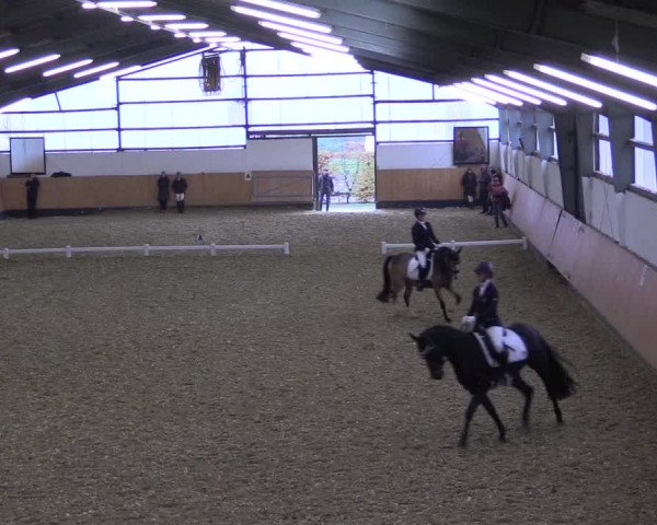 Reitturnier Datteln 2021