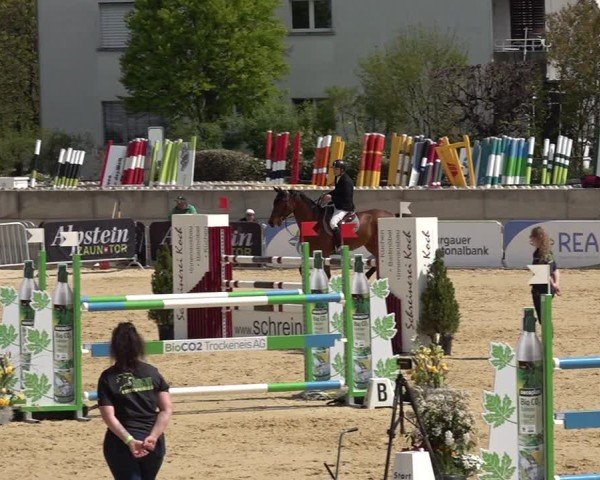 Reitturnier Amriswil 2025