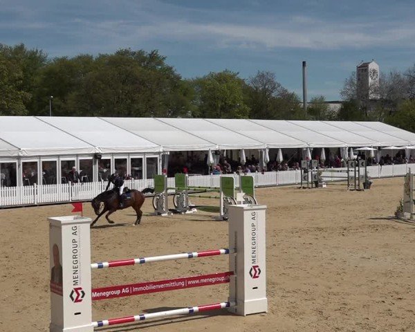 Reitturnier Amriswil 2025