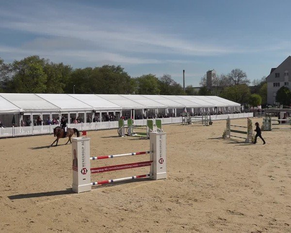 Reitturnier Amriswil 2025