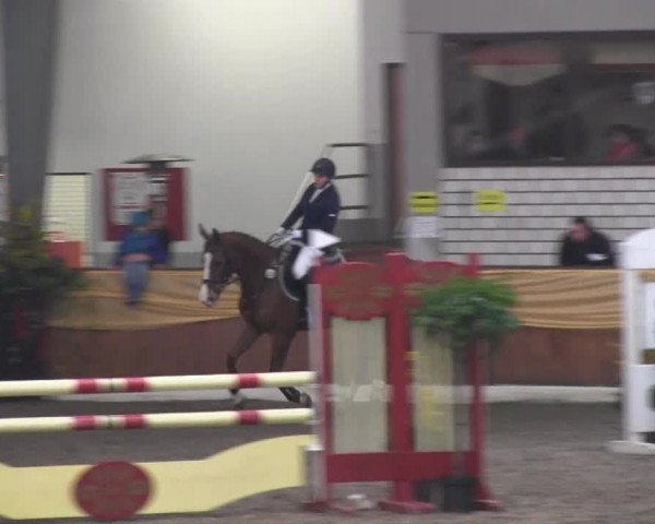 10. Emsländischer Jumping Day