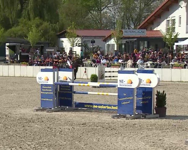 Reitturnier Grafenrheinfeld/Ufr. 2025
