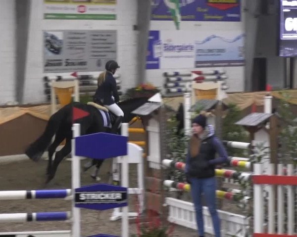 10. Emsländischer Jumping Day