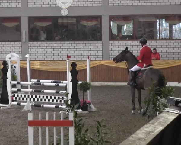 10. Emsländischer Jumping Day