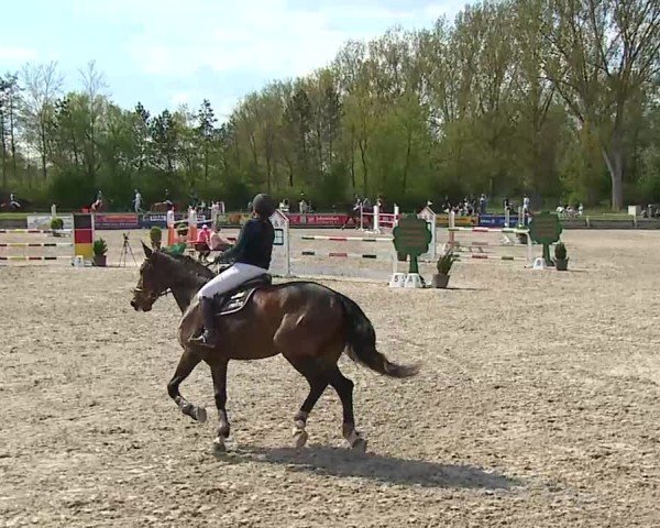 Reitturnier Grafenrheinfeld/Ufr. 2025
