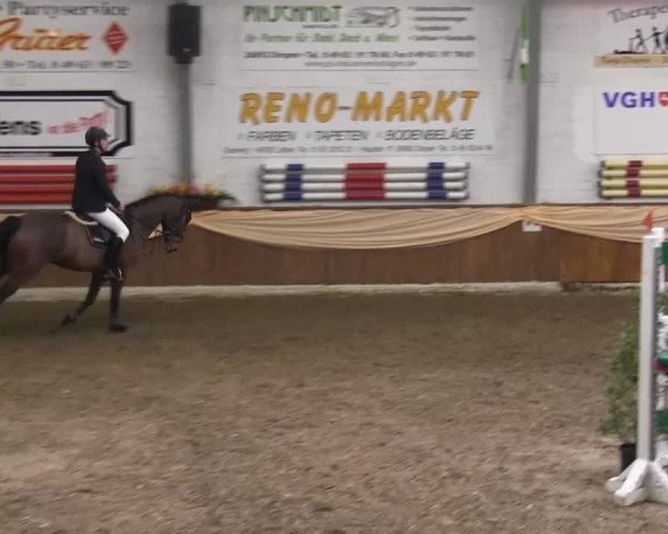 10. Emsländischer Jumping Day