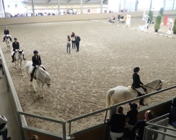 Reitturnier Waghäusel-Wiesental 2025