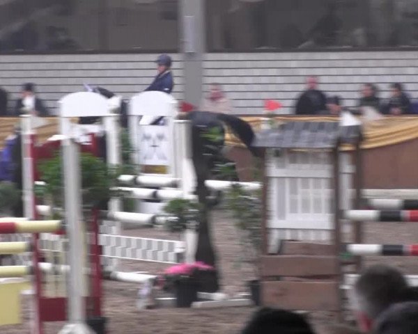 10. Emsländischer Jumping Day