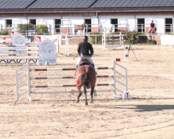 Reitturnier Margarethen am Moos 2025