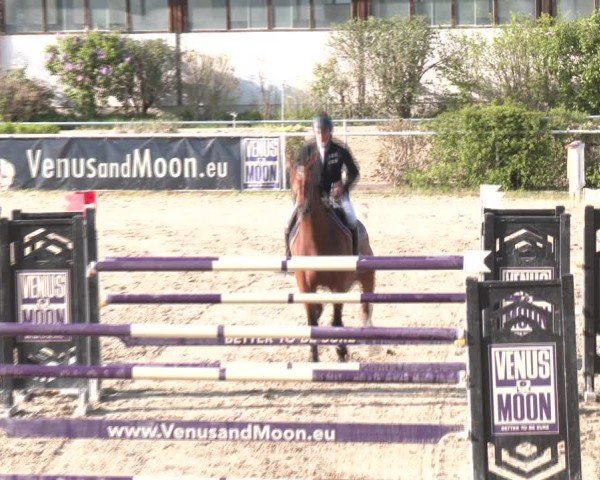 Reitturnier Margarethen am Moos 2025