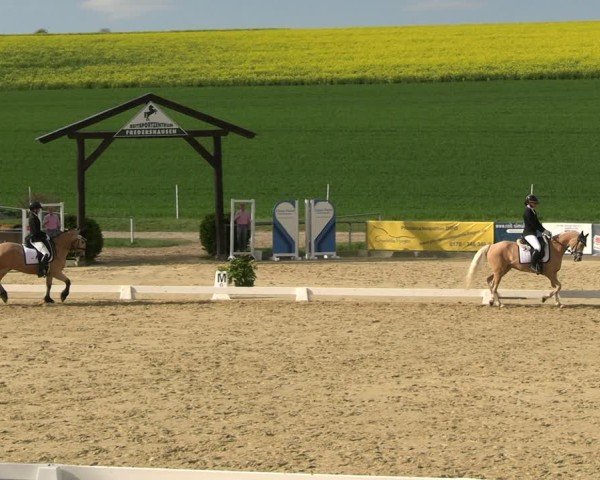 Reitturnier Duderstadt 2025