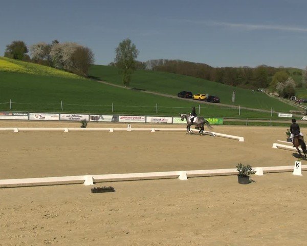 Reitturnier Duderstadt 2025