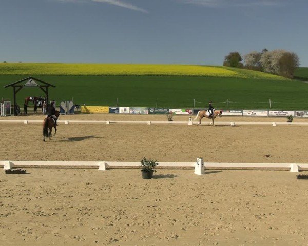 Reitturnier Duderstadt 2025