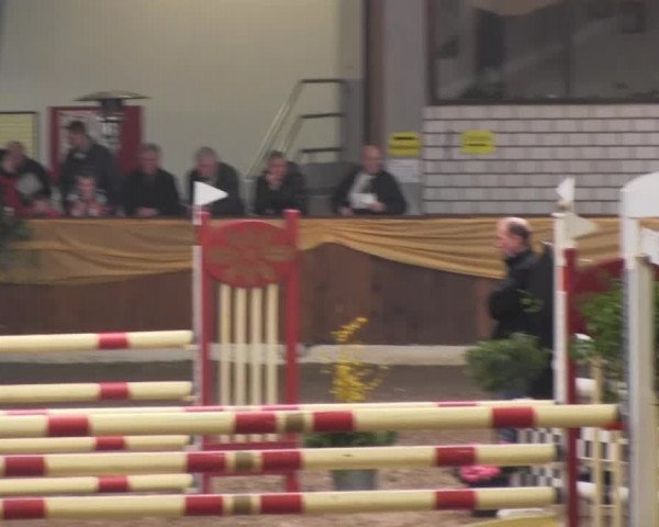 10. Emsländischer Jumping Day